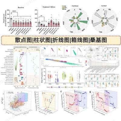 散点图|柱状图|折线图|箱线图|云雨图|小提琴图|哑铃图|桑基图