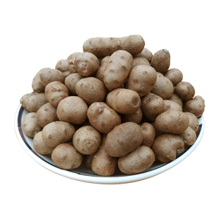 贵州安顺特产新鲜山药豆4斤 零余署预子炒煮汤蒸炸食用农家山药蛋