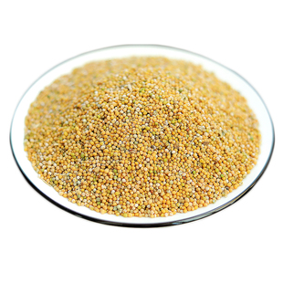 白芥子中药材500g克白芥子油菜芥子 白介子 白芥籽另有售炒白芥子