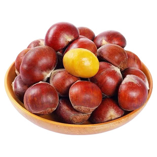 2025新下树丹东板栗5斤包邮鲜栗子生大嫩板栗辽宁农家新油板栗仁