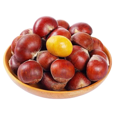 新下树丹东新板栗新鲜香甜软糯