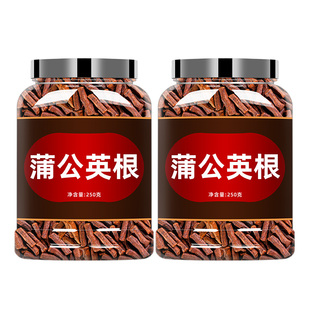 蒲公英根正品特级野生中药材炒切片带甫公英茶长白山蒲公英根和叶