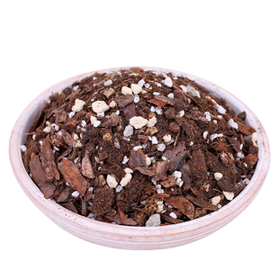 热植通用营养土蔓绿绒海芋花烛盆栽天南星科龟背竹专用泥炭颗粒土