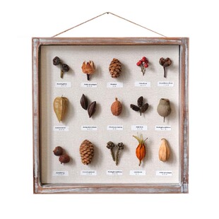 干花相框挂画壁挂装饰画真花植物标本侘寂北欧田园复古实木软装