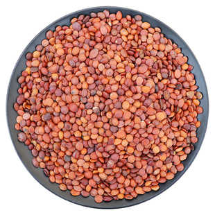 正宗野生炒酸枣仁中药材正品河北邢台酸枣仁粉茶膏批发官方旗舰店