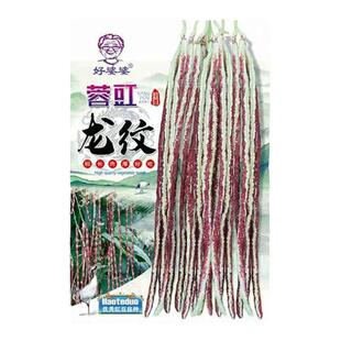蓉豇龙纹豇豆种子耐老口感好春夏秋种植花豇豆长豆角种子蔬菜种子