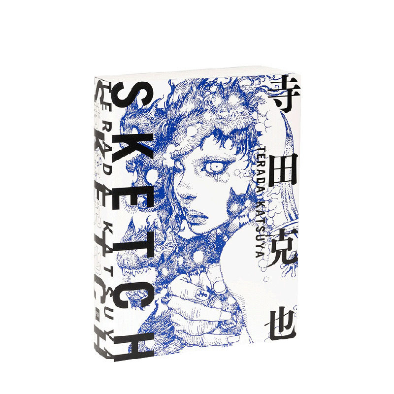 【多款选拍】寺田克也SKETCH素描集/新作THIS AND THAT插画集/寺田克也原寸/10年轨迹等 日文日本进口画册手稿艺术书 PIE