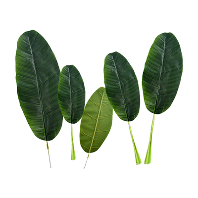仿真植物装饰品滴水观音芭蕉叶