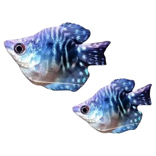 曼龙球鱼热带观赏鱼黄曼龙蓝曼龙五彩血珍珠马甲球活体小型淡水