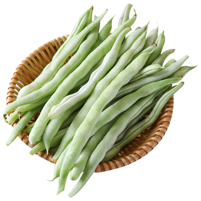 东北芸豆白豆角老来少新鲜现摘