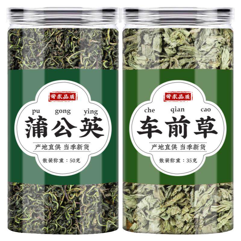 蒲公英车前草中药材旗舰店正品新鲜干货浦公英车钱草袋泡茶泡水喝