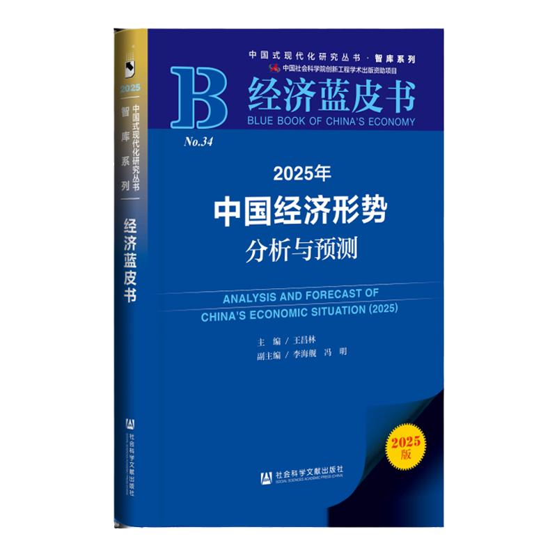 2025年中国经济形势分析与预测