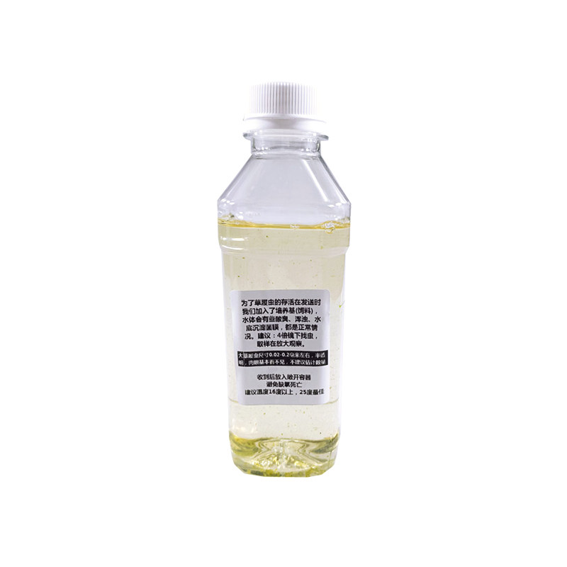 草履虫洄水活体鱼苗开口饲料实验