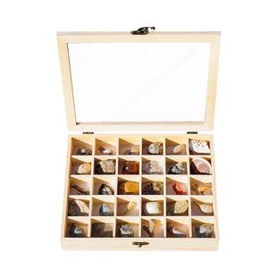 天然30种化石标本套装三叶虫菊石海螺牙齿古生物矿石原石石头摆件