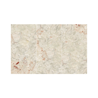 高档客厅卫生间阳台浴室墙地瓷砖