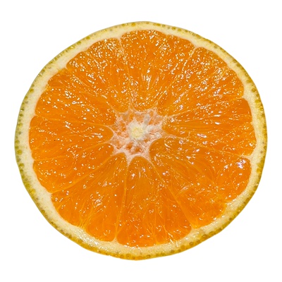 正宗秭归夏橙榨汁新鲜橙子