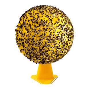 果蝇诱捕器粘虫球诱苍蝇小飞虫室内室外摊位厨房农村灭蝇神器