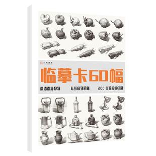 从结构到明暗单体静物组合静物几何体入门高清临摹卡作品礼物60幅精美原画手绘素描单体静物袋装活页艺术名师作品素描临摹卡