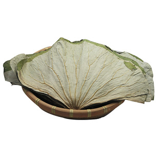 荷叶干荷叶整张 荷叶片泡茶 蒸饭藕叶糯米叫花鸡荷叶饭专用500g