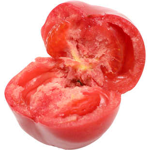 普罗旺斯番茄苗秧老品种四季水果大全毛粉沙瓤千禧盆栽阳台蔬菜苗