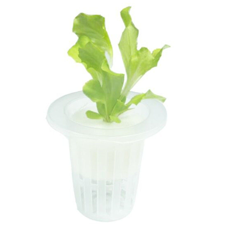 水培花盆塑料定植篮方形圆形造景配件仿真小号大号水草固根神器