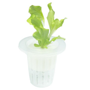 水培花盆塑料定植篮方形圆形造景配件仿真小号大号水草固根神器