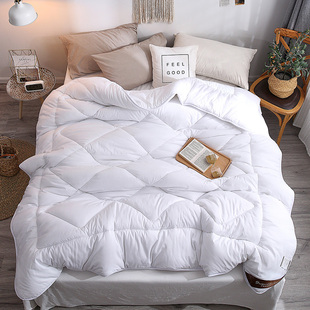 秋冬保暖被芯春夏子母被双人床200X230宿舍单人白色加厚被150x200