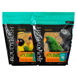 美国Roudybush柔|迪布殊鹦鹉滋养丸高蛋白颗粒饲料日常高能鹦鹉粮