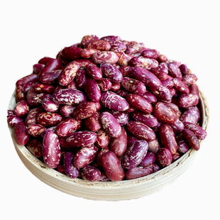 东北紫花芸豆25年新货农家熬煮大碴粥饭豆五谷杂粮特产新鲜红腰豆