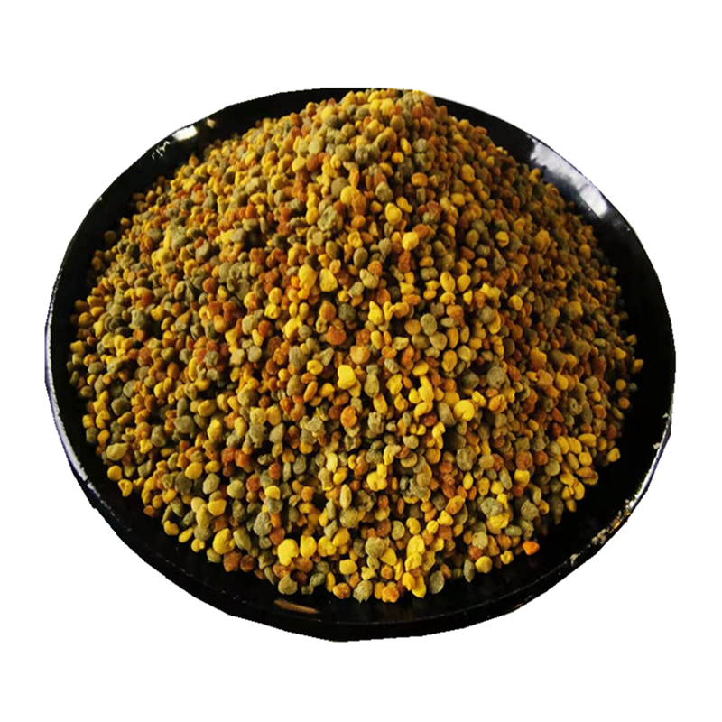 马小成蜂花粉蚕豆油菜益母草