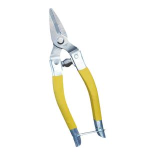 不锈钢果剪摘果剪采柑桔剪蔬果剪中号果水果采摘剪刀圆头果子剪