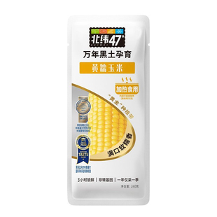 北纬47度黄糯玉米240g袋装东北甜黏玉米棒真空包装杂粮粗粮早餐