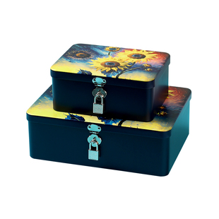 小型马口铁铁盒收纳盒带锁手机杂物盒子信封收藏盒储物盒装钱箱子
