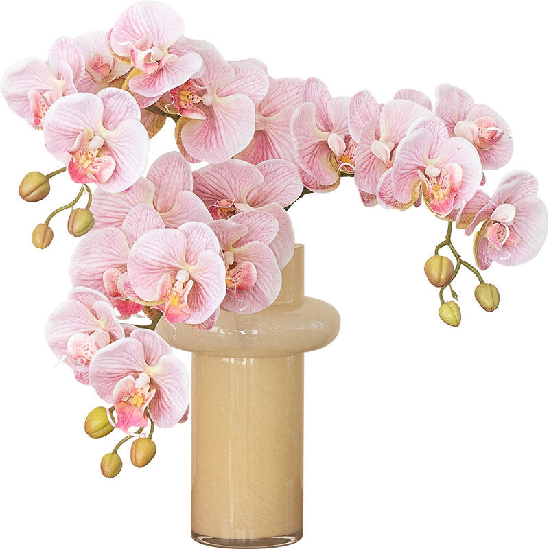高品质蝴蝶兰仿真花高级感逼真保湿手感兰花假花摆件客厅餐桌插花