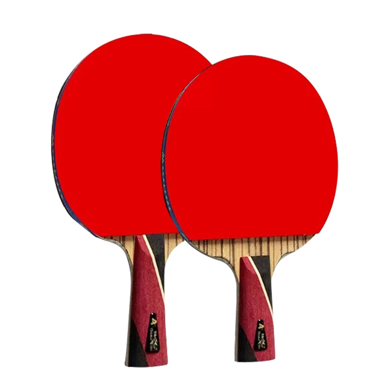双鱼乒乓球拍双反胶皮成品拍套装