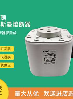 议价全新快速熔断器保险170M7208 170M7209 170M7212 170M7217