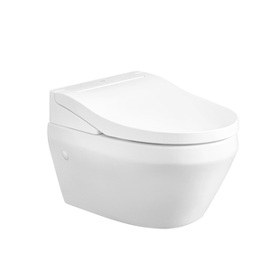 【新品】德国高仪智悦智能壁挂式马桶进口水箱悬挂式除臭即热妇洗