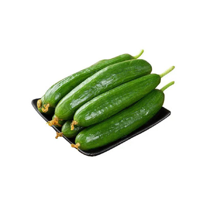 新鲜蔬菜水果黄瓜500g短小黄瓜沙拉食材现采现摘 任搭5件包邮
