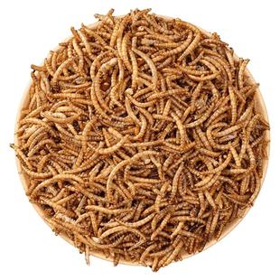 鹦鹉专用面包虫干奖励零食虎皮牡丹玄凤小太阳八哥鸟用品鸟粮饲料