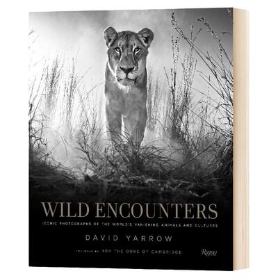 Wild Encounters 世界消失的动物和文化的标志性照片 David Yarrow