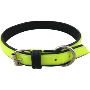 Julius k9项圈金毛泰迪狗狗橡胶皮革脖圈狗脖套欧洲进口宠物用品