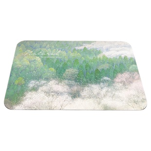 卫生间地垫厨房地毯垫浴室防滑垫家用硅藻泥入户门地垫吸水脚垫