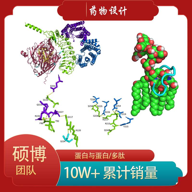 蛋白蛋白对接/蛋白多肽对接/ZDOCK/薛定谔对接