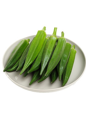 精选秋葵苗阳台盆栽带土四季种