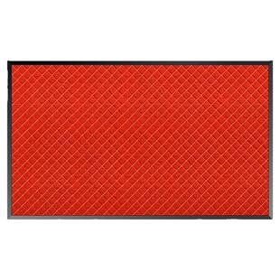 红色入户门防滑地垫室外入门脚垫门外门口吸水地毯户外门垫高级感