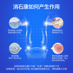 鑫安消石康狗狗膀胱结石猫咪尿结石结晶化石排石猫石通狗狗尿石消