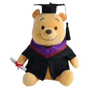 毕业公仔学士服玩偶PolyU香港理工大學博士熊硕士畢業礼物定制