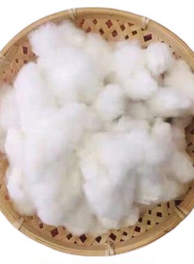 一级棉花带籽未加工农家自产