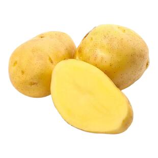 黄皮土豆农家蔬菜现挖黄心马铃薯饱满鲜美营养健康食材洋芋