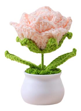 编织花高级感桌面摆设永生花礼物